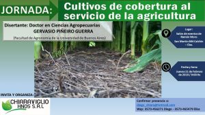 Cultivos de cobertura al servicios de la agricultura @ Calchin, Córdoba