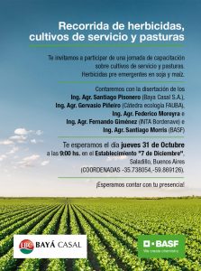 Recorrida de herbicidas, cultivos de servicios y pasturas @ Saladillo, Buenos Aires