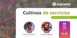 Cultivos de servicio